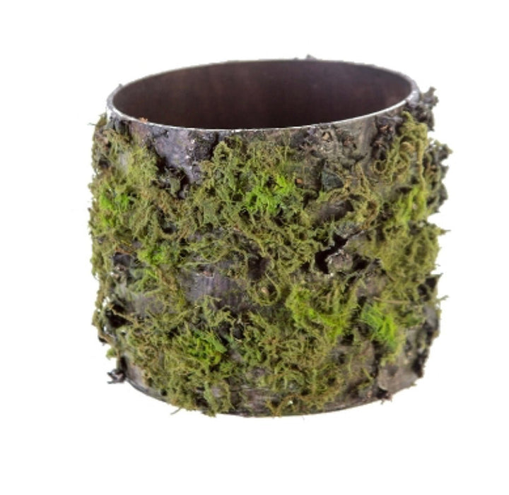 Mossy log arrangement container 6” - Greenery Market2370144GB