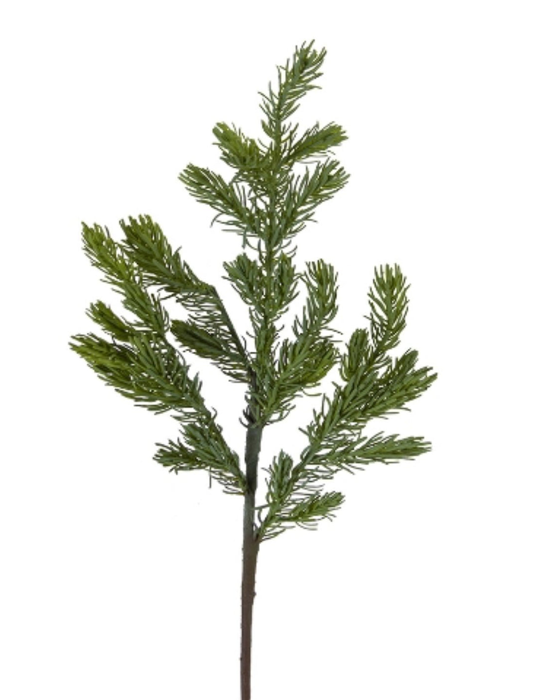 Mountain fir branch spray - Greenery Market2830383VG