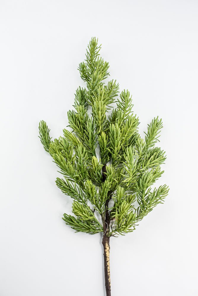 Mountain fir branch spray - Greenery Market2830383VG