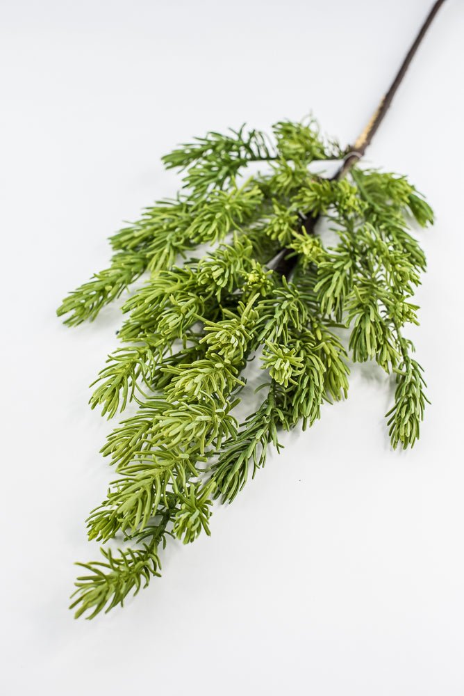 Mountain fir branch spray - Greenery Market2830383VG