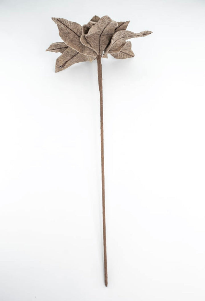 Natural Tan / Taupe felt poinsettia stem - Greenery MarketXS411418
