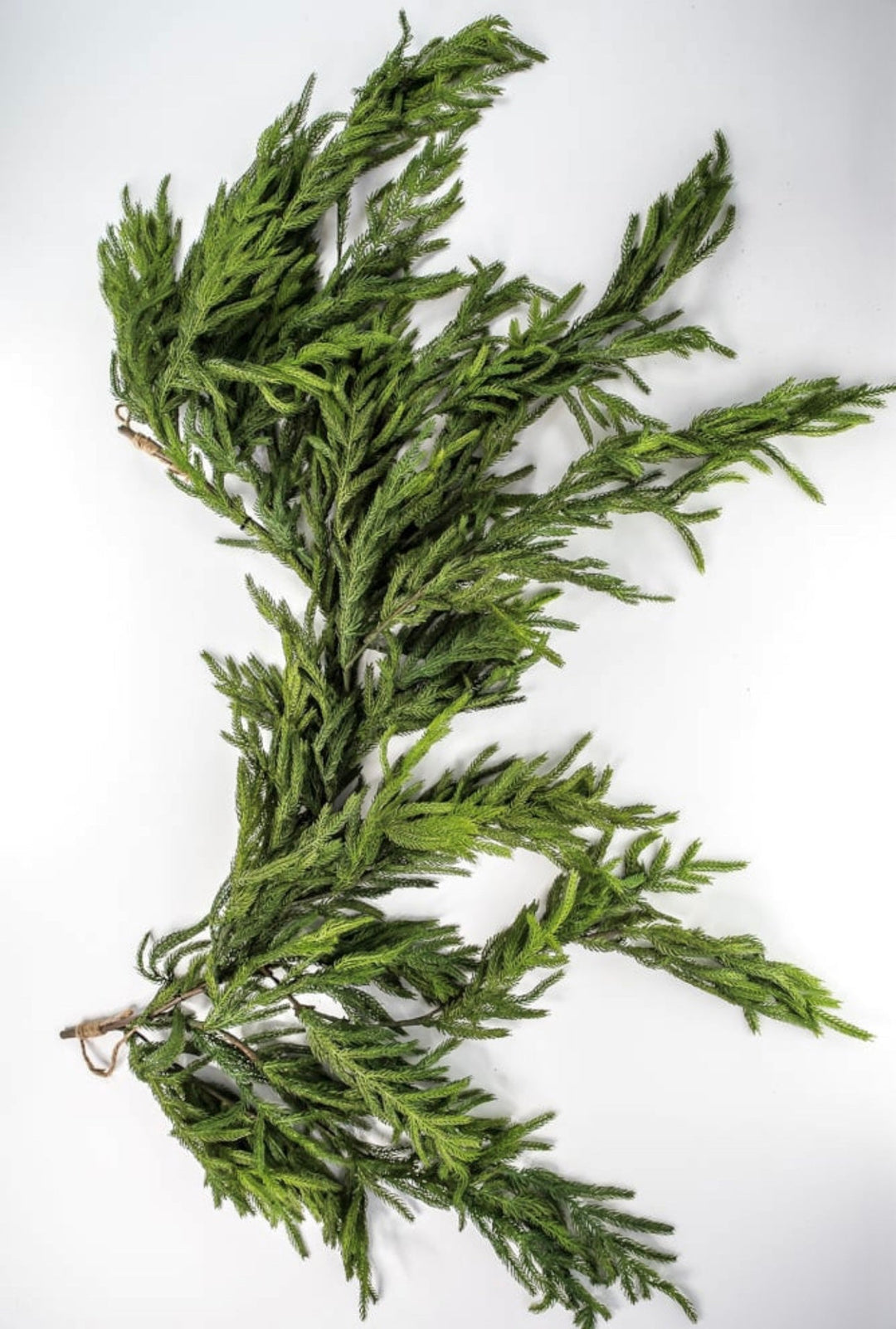 Natural touch dripping norfolk garland - Greenery MarketGarlandMTX73276