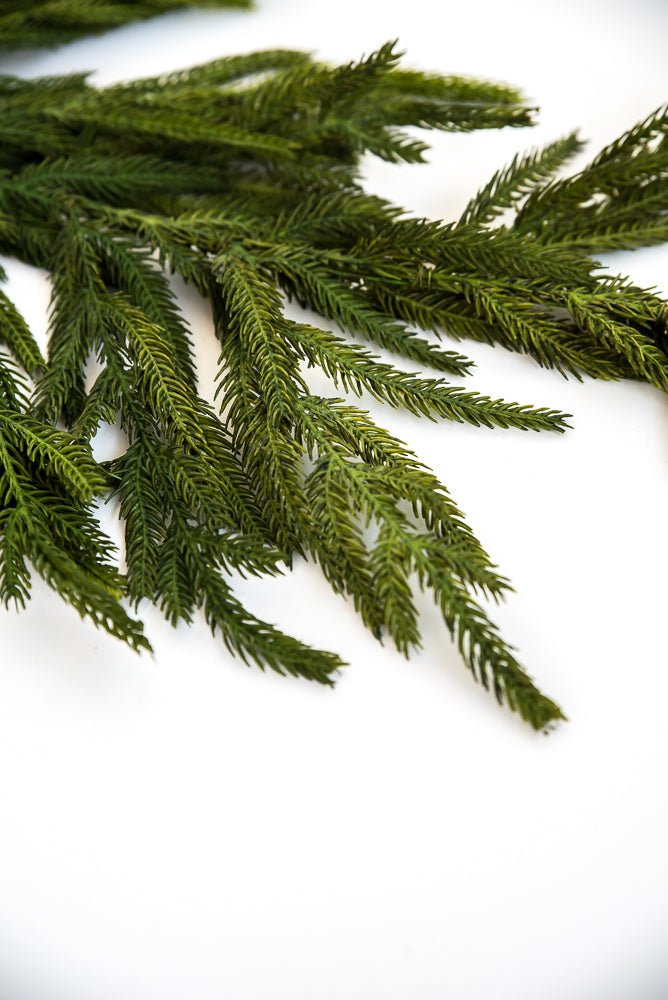 Natural touch Norfolk pine spray - Greenery MarketgreeneryMTX58506