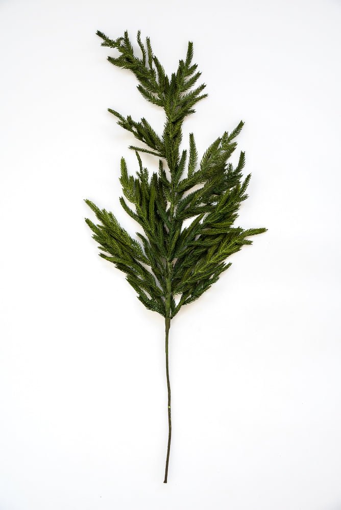 Natural touch Norfolk pine spray - Greenery MarketgreeneryMTX58506