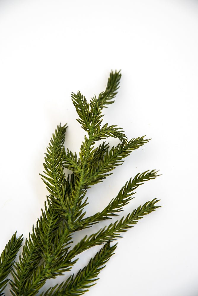 Natural touch Norfolk pine spray - Greenery MarketgreeneryMTX58506