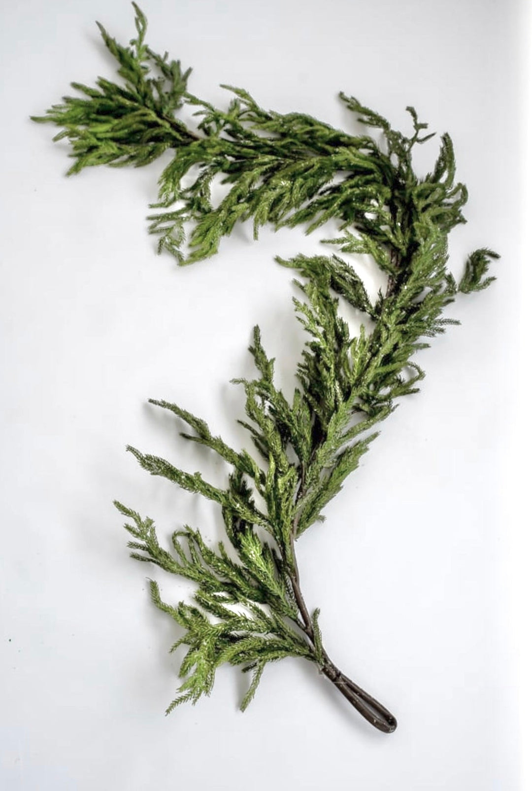 Norfolk pine garland 6’ with light frosting - Greenery Market2833271GI