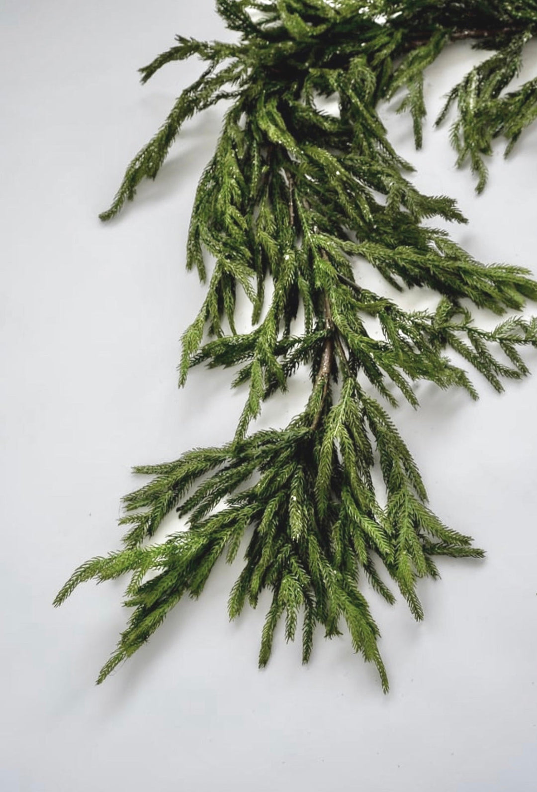 Norfolk pine garland 6’ with light frosting - Greenery Market2833271GI