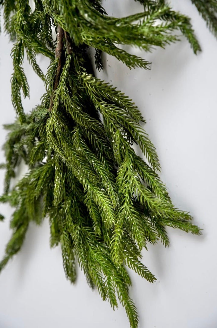 Norfolk pine garland 6’ with light frosting - Greenery Market2833271GI