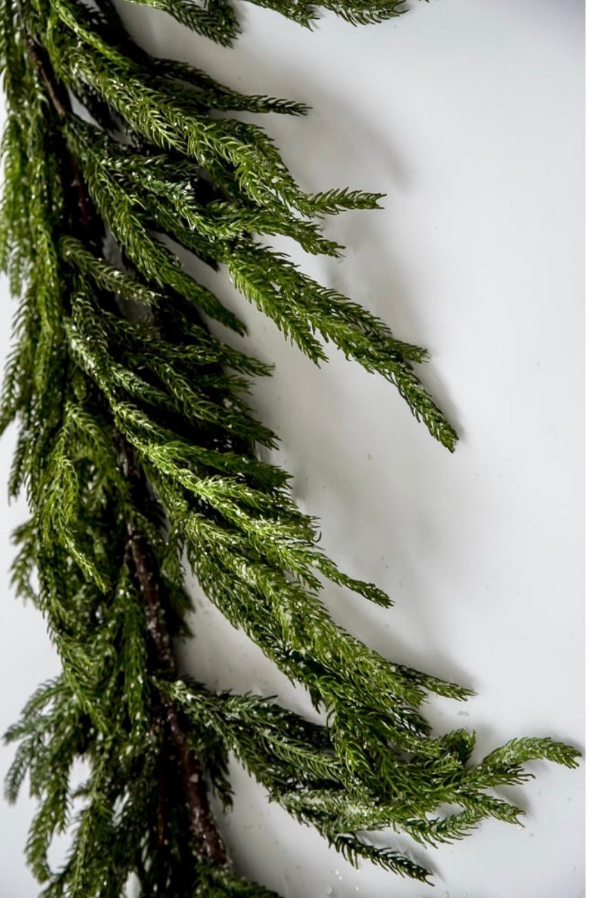 Norfolk pine garland 6’ with light frosting - Greenery Market2833271GI