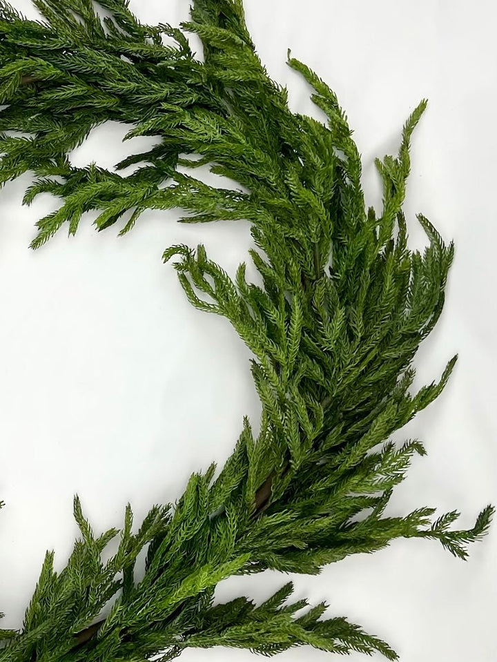 Norfolk pine garland 6’ - Greenery Market2833271GR