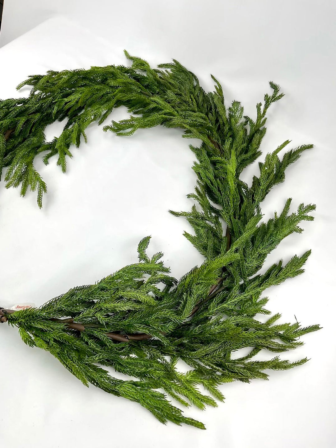 Norfolk pine garland 6’ - Greenery Market2833271GR