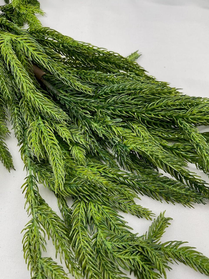 Norfolk pine garland 6’ - Greenery Market2833271GR