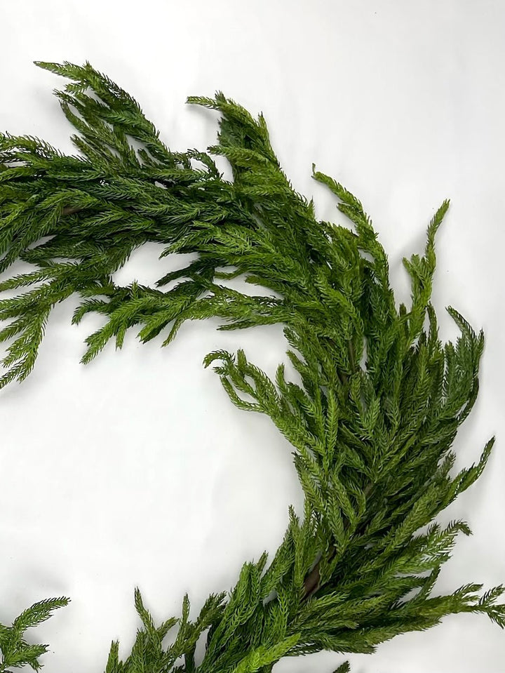 Norfolk pine garland 6’ - Greenery Market2833271GR