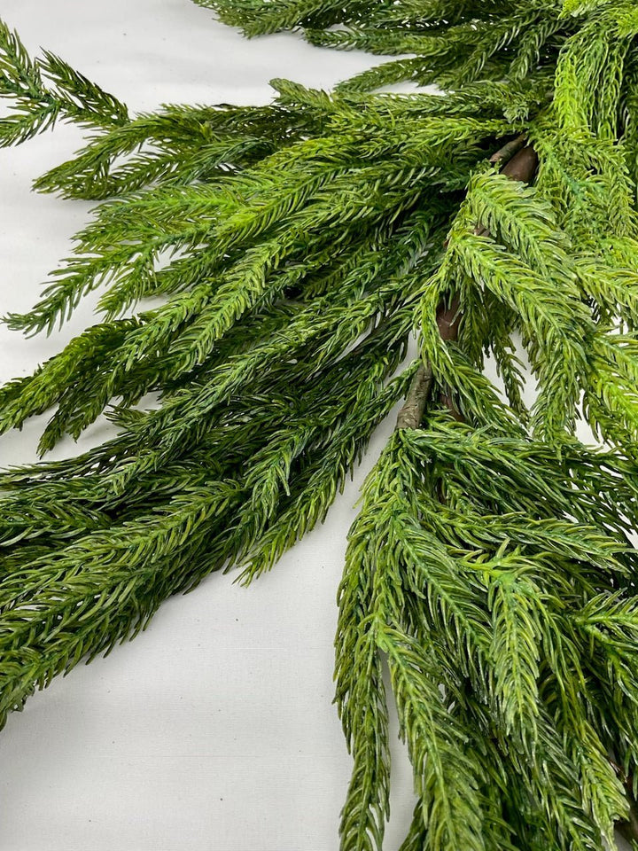 Norfolk pine garland 6’ - Greenery Market2833271GR