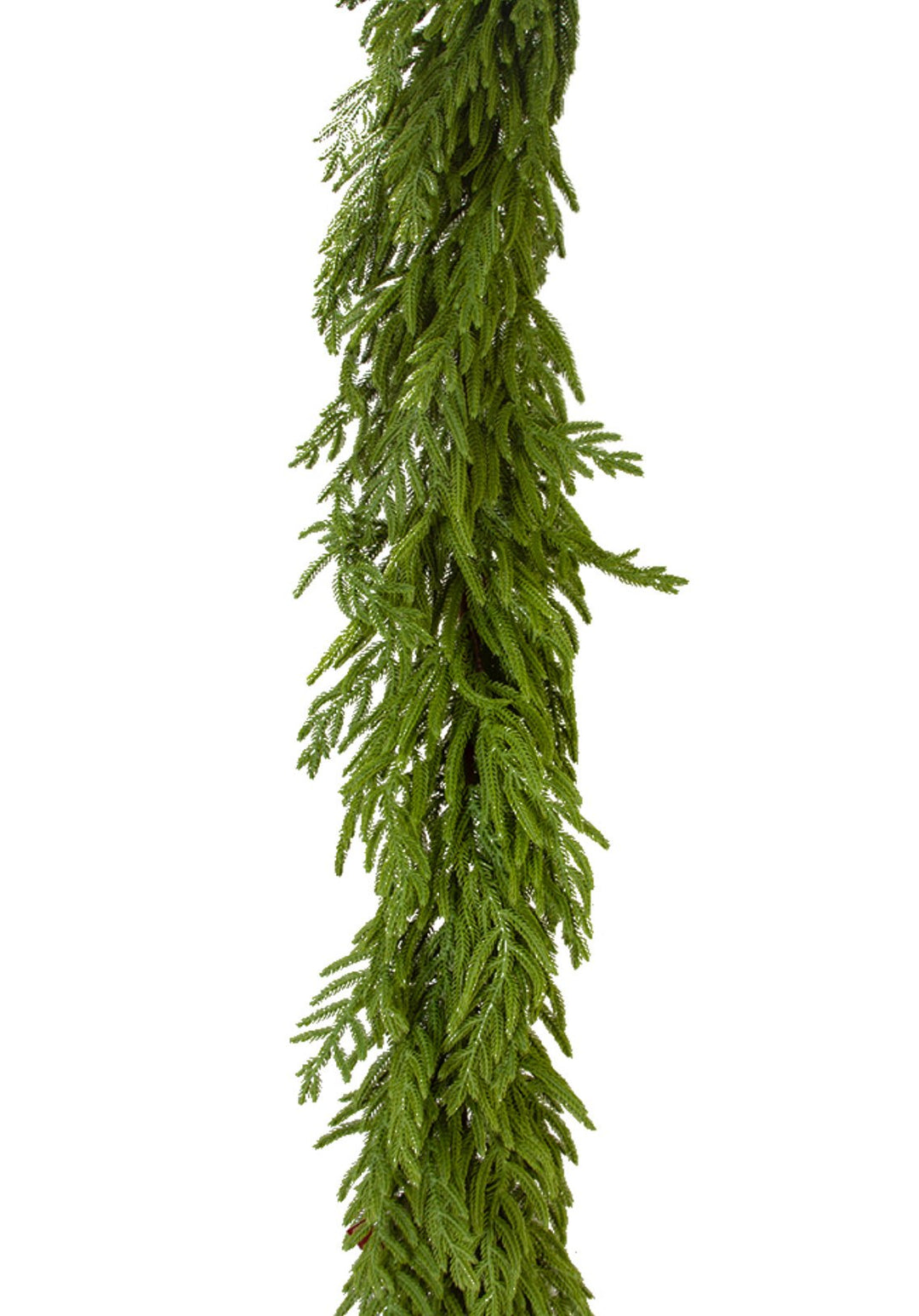 Norfolk pine garland 65” - Greenery Market2844036GR