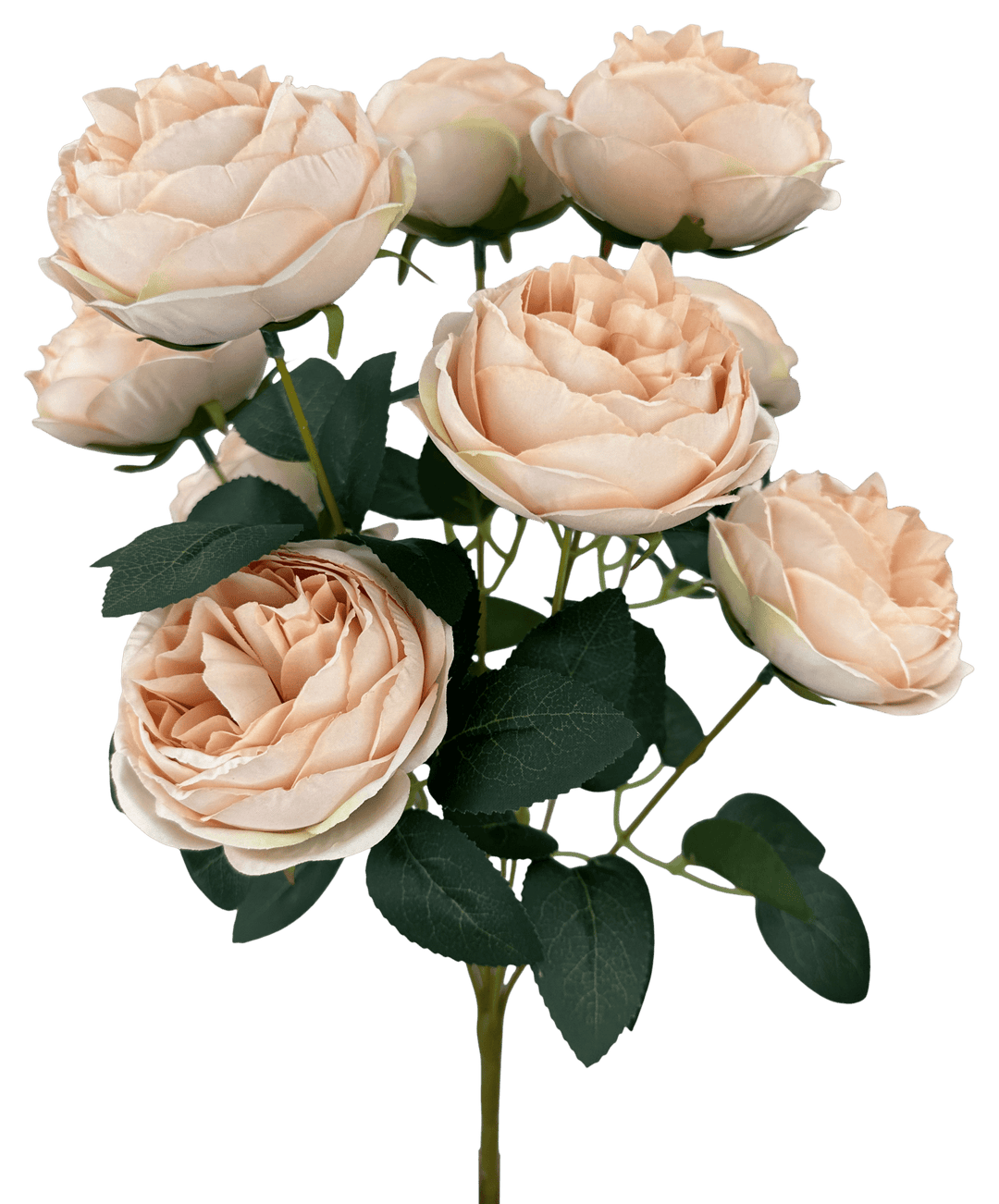 Nude Cabbage Rose Bush - 17.5" - Greenery MarketArtificial Flowers35133NUDE