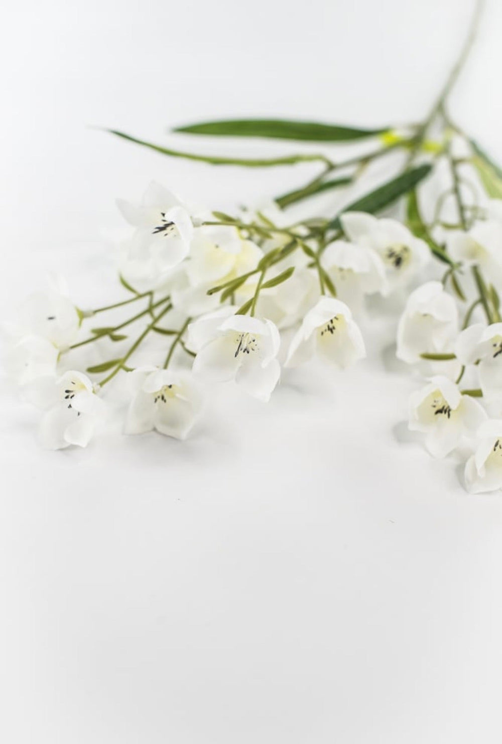 Off White Parnassia Spray - 26" - Greenery Market64027CM