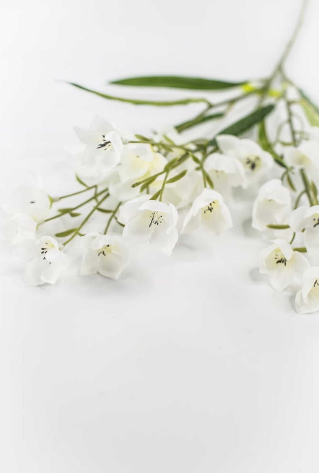 Off White Parnassia Spray - 26" - Greenery Market64027CM