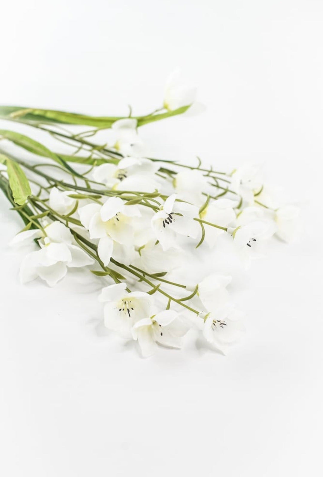 Off White Parnassia Spray - 26" - Greenery Market64027CM