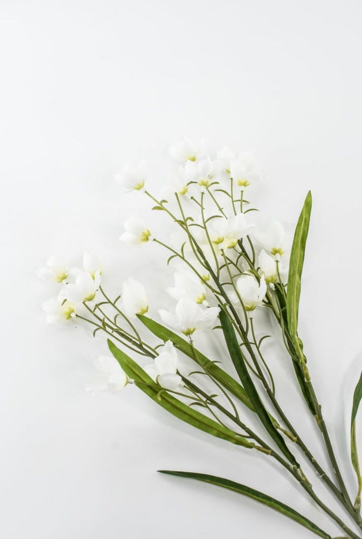 Off White Parnassia Spray - 26" - Greenery Market64027CM