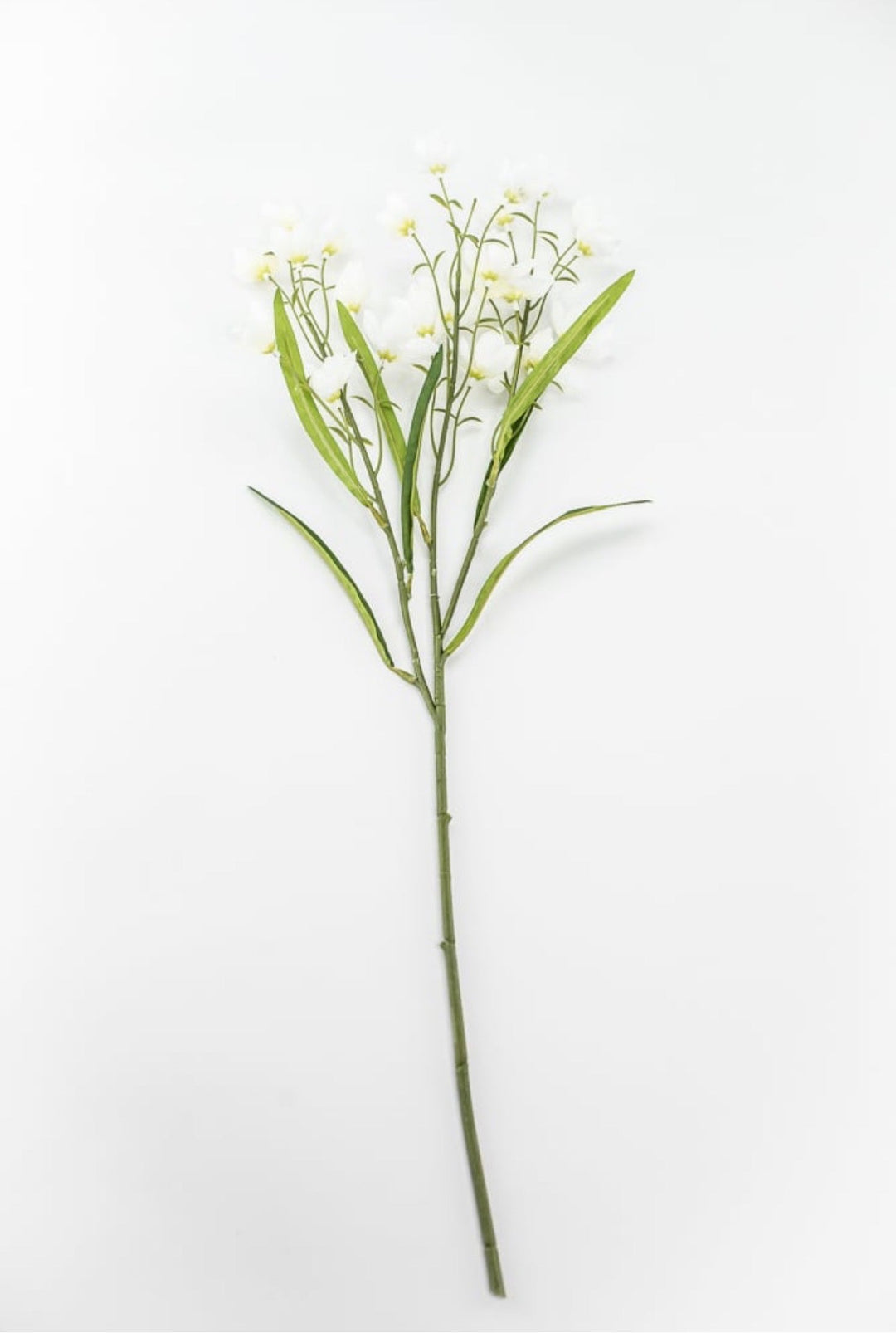 Off White Parnassia Spray - 26" - Greenery Market64027CM