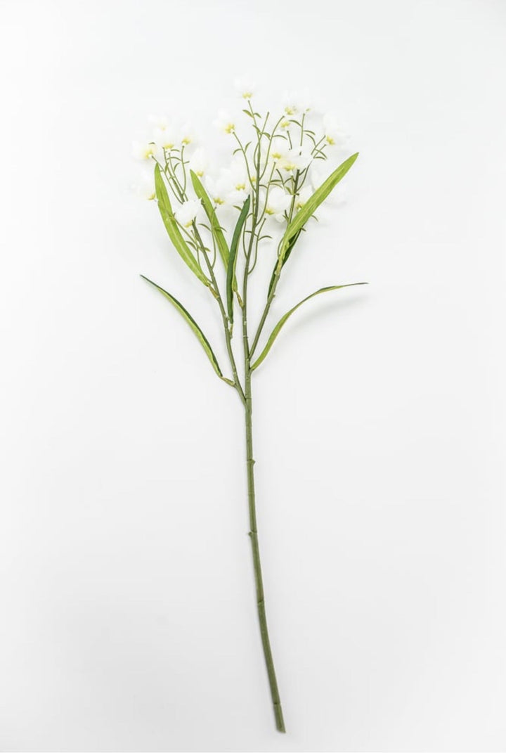 Off White Parnassia Spray - 26" - Greenery Market64027CM