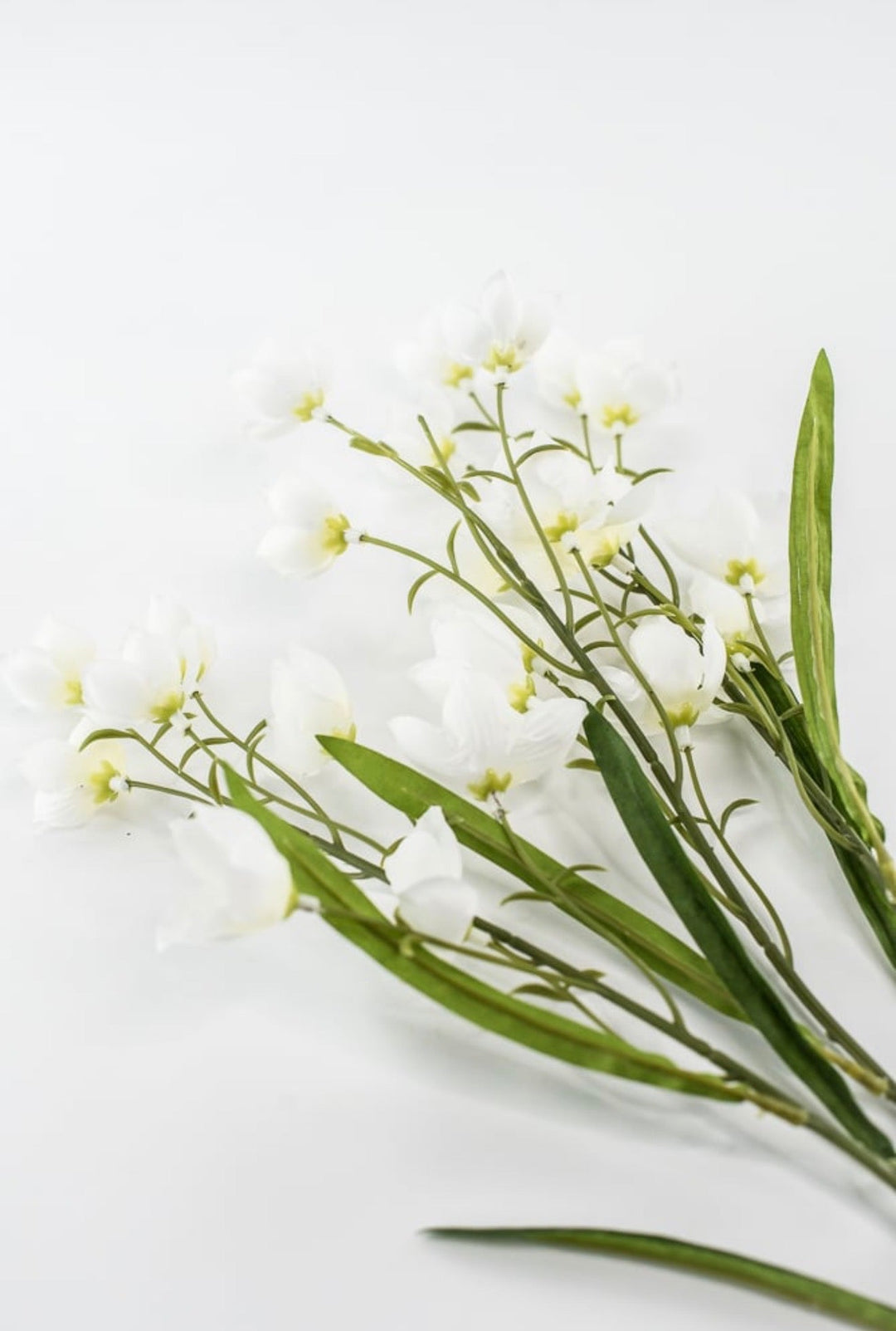 Off White Parnassia Spray - 26" - Greenery Market64027CM