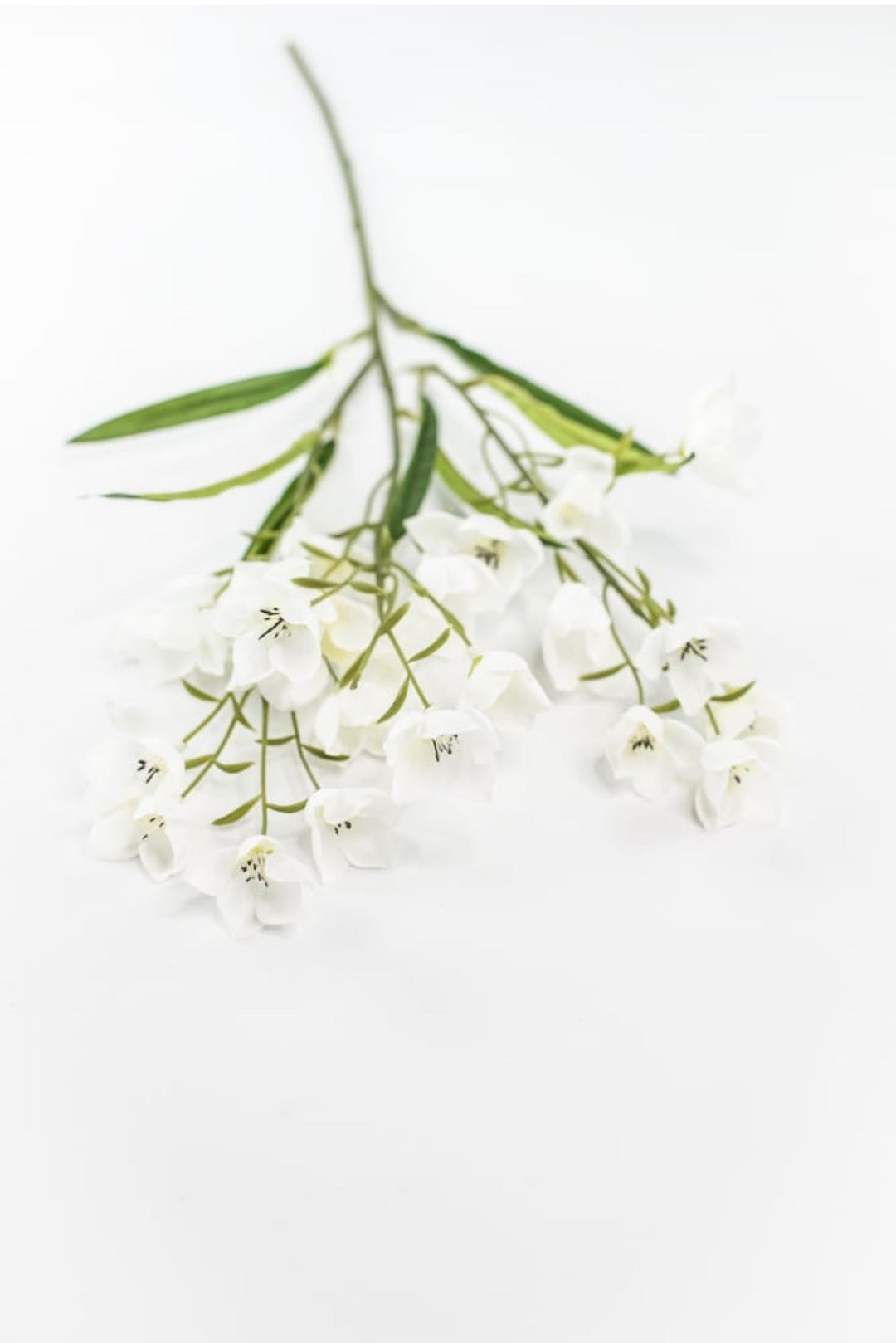 Off White Parnassia Spray - 26" - Greenery Market64027CM