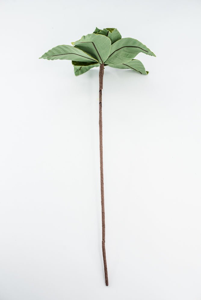 Olive Green, Velvet Poinsettia Stem - Greenery Market86612OLIVE