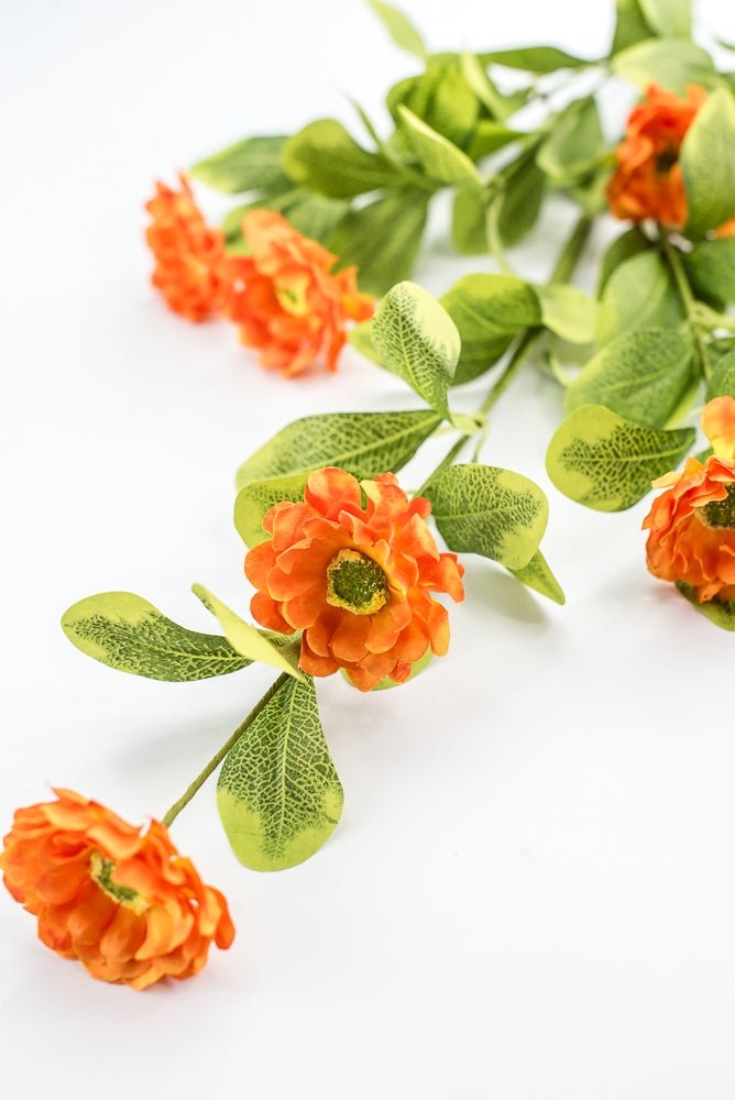 Orange Button Zinnia Spray - Greenery MarketMTF24321 ORNG