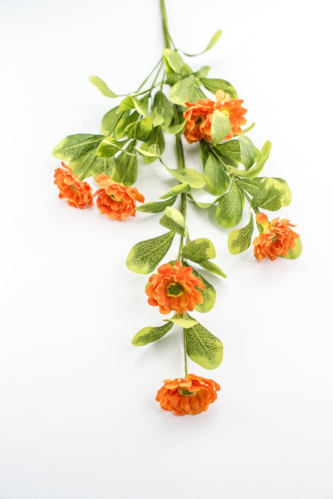 Orange Button Zinnia Spray - Greenery MarketMTF24321 ORNG