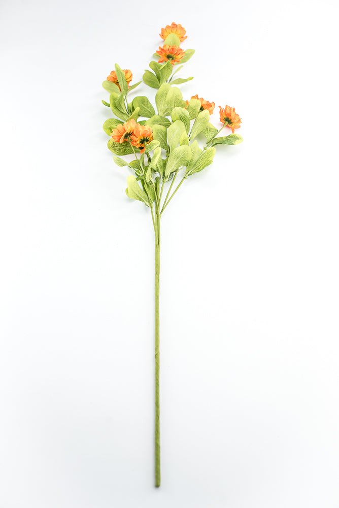 Orange Button Zinnia Spray - Greenery MarketMTF24321 ORNG
