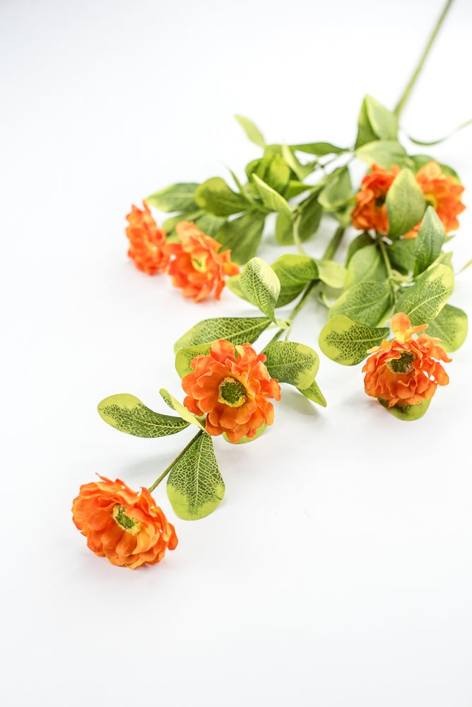 Orange Button Zinnia Spray - Greenery MarketMTF24321 ORNG