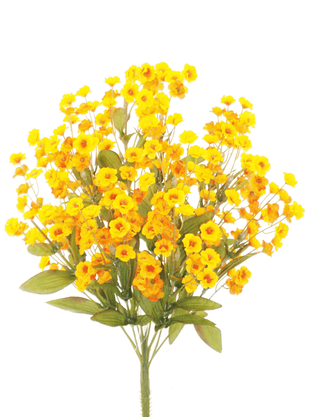 Orange Color Fast Double Baby Breath - 19" - Greenery Market31180OR