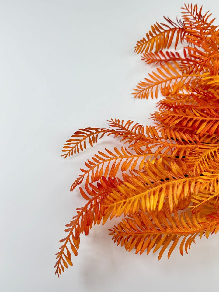 Orange fern, greenery x 2 bushes - Greenery Marketgreenery43224