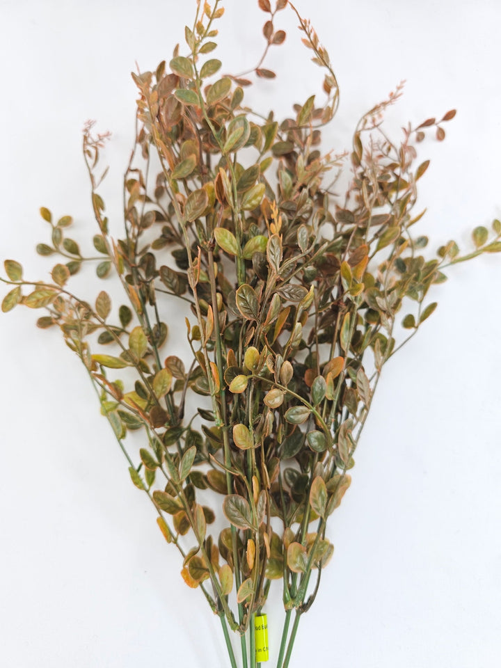 Orange tipped Boxwood, greenery, fall boxwood - Greenery Marketgreenery13137fa