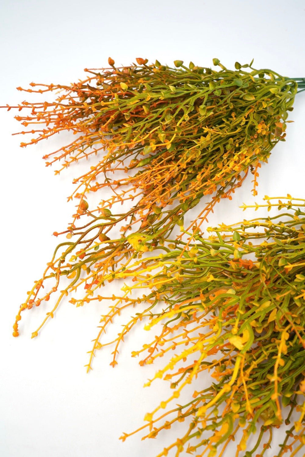 Orange tipped greenery grass bush x 2 bushes - Greenery Marketgreenery43663