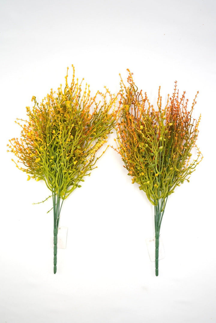 Orange tipped greenery grass bush x 2 bushes - Greenery Marketgreenery43663