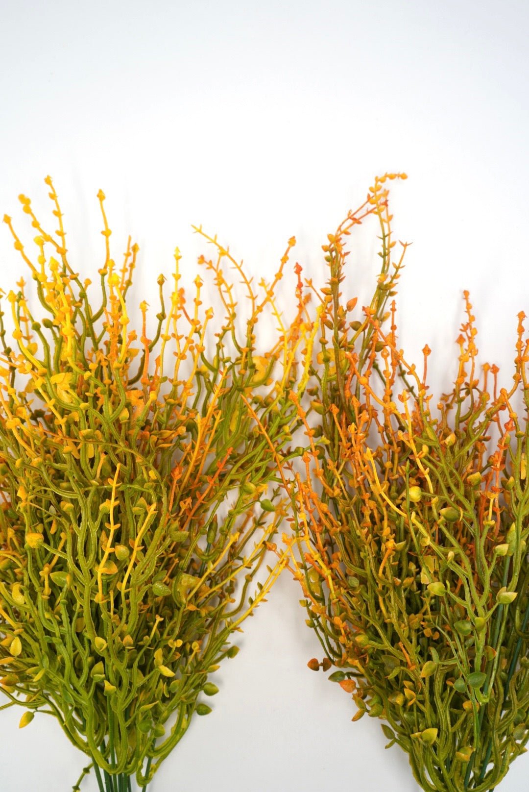 Orange tipped greenery grass bush x 2 bushes - Greenery Marketgreenery43663