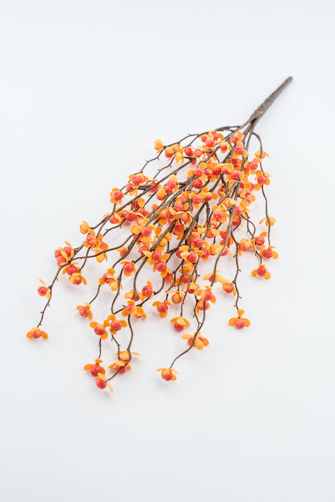 Orange & Yellow Bittersweet Bush - 17" - Greenery MarketFBB359-OR/YE