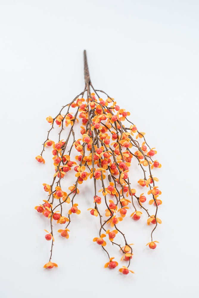 Orange & Yellow Bittersweet Bush - 17" - Greenery MarketFBB359-OR/YE