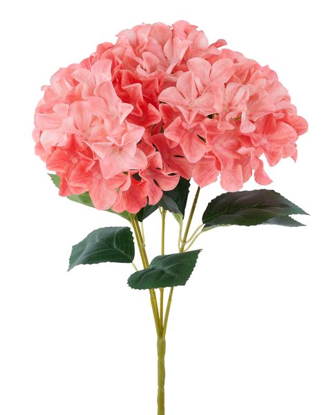 Peach Fabric Hydrangea Bush - 16" - Greenery MarketArtificial FloraFN175431
