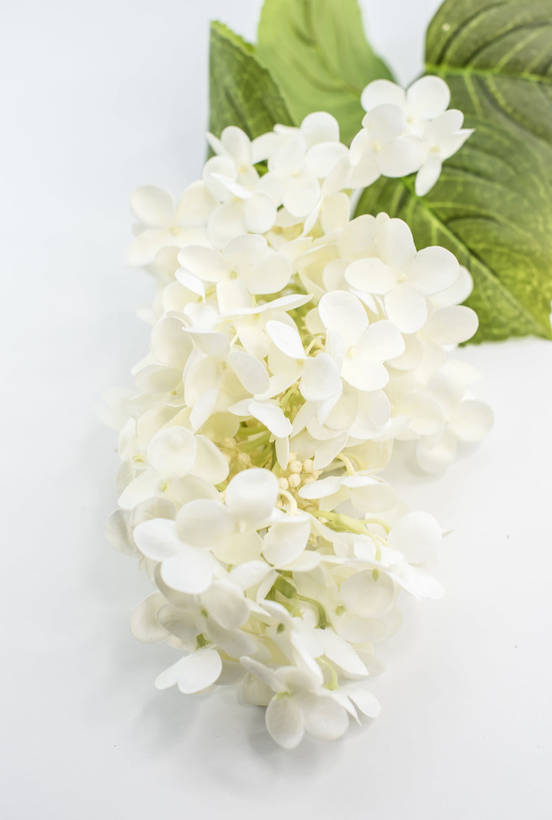 Peegee hydrangea stem - white - real touch - Greenery Market6466 - W