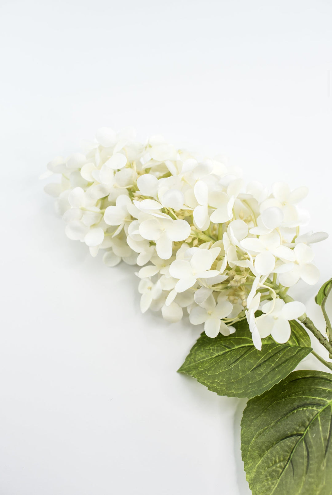 Peegee hydrangea stem - white - real touch - Greenery Market6466 - W