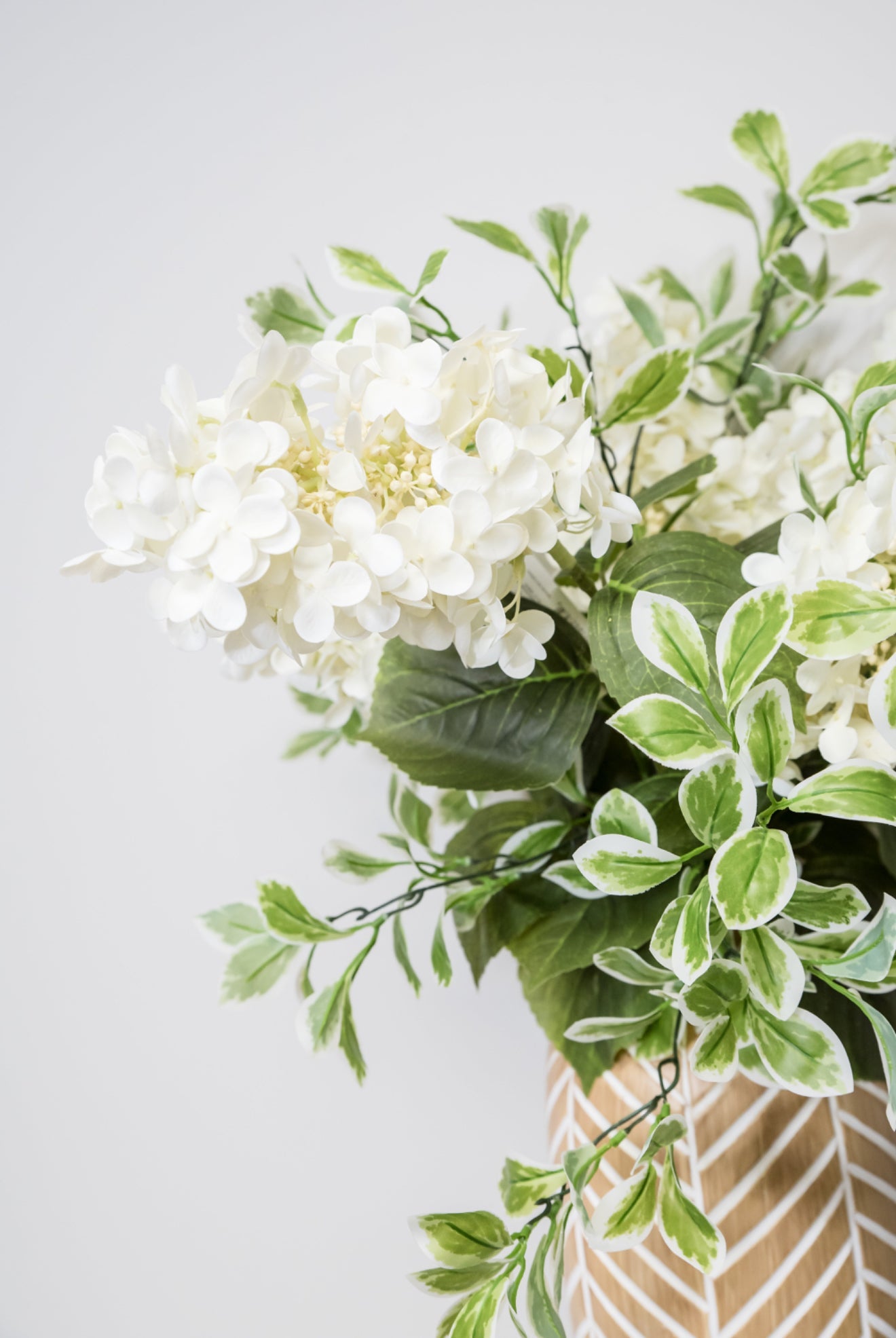 hydrangea0223ページ Hydrangea 3&4 — Lisa Masson Photography