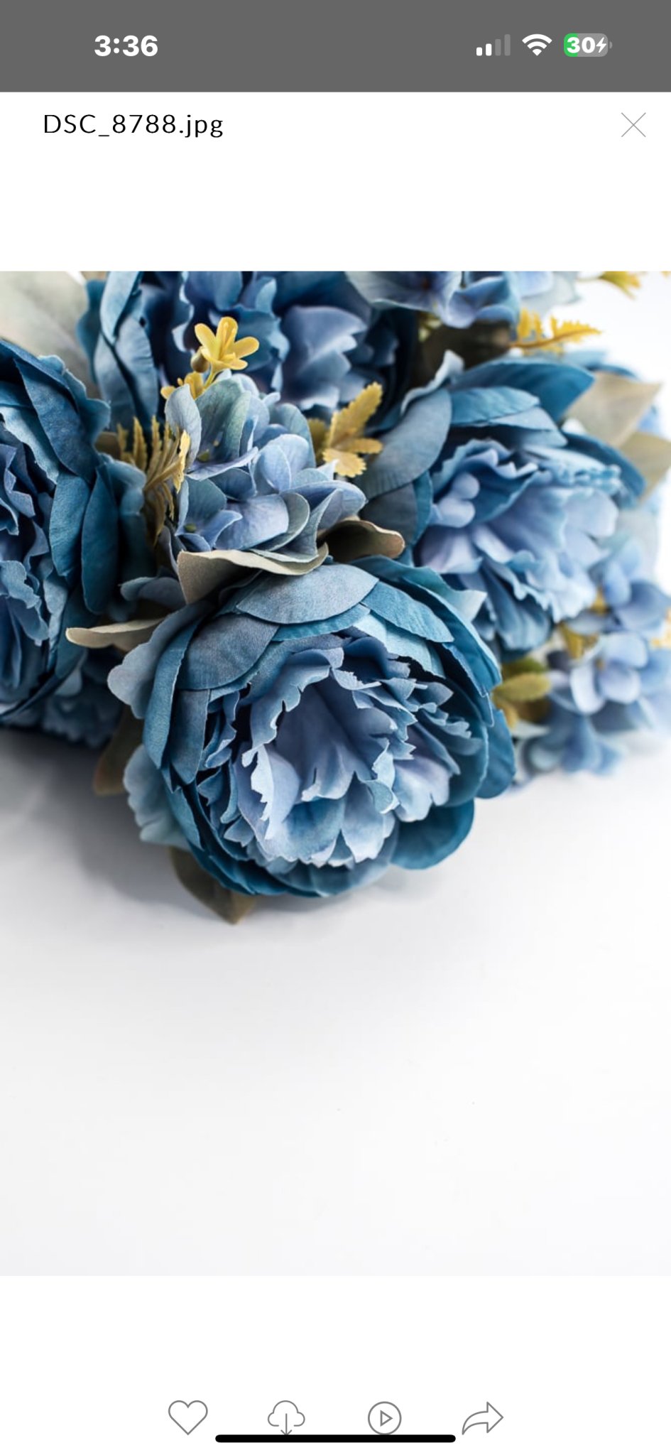 Peony and hydrangea mixed bush - blue - Greenery Market