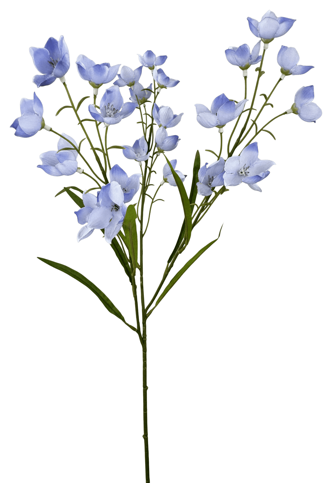 Periwinkle Parnassia Spray - 26" - Greenery Market64027PEWI