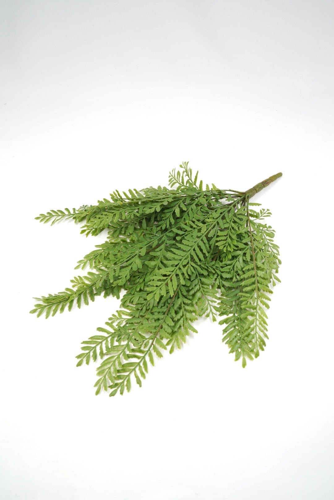 Persian Leaves Bush - Soft Touch - Greenery Market28307