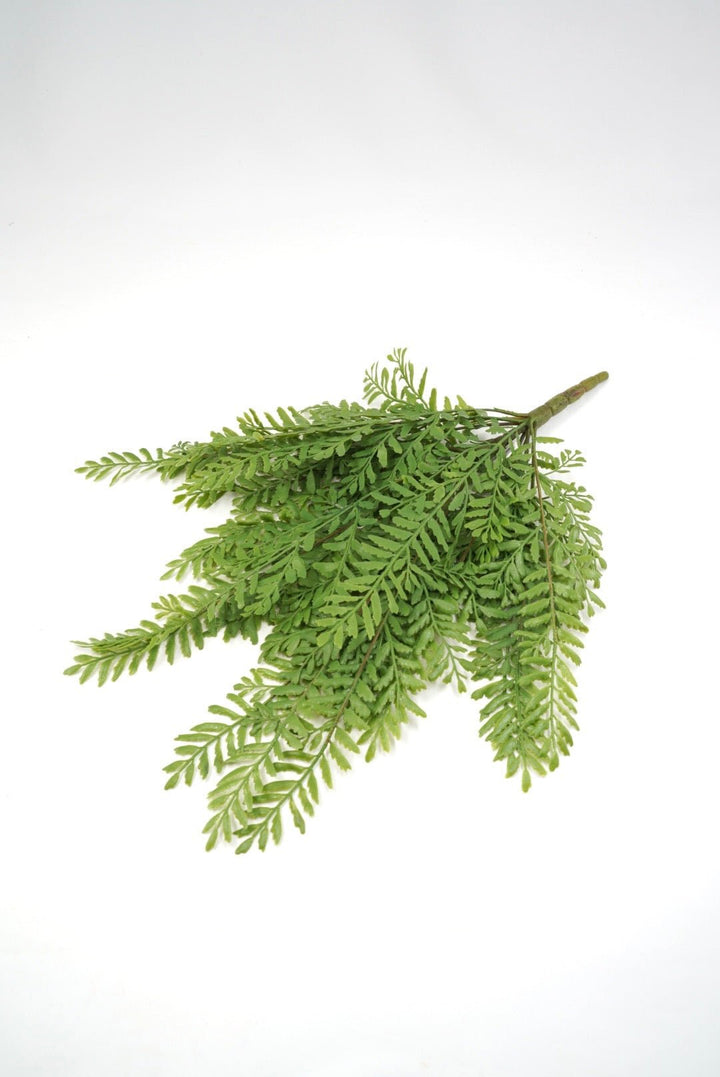 Persian Leaves Bush - Soft Touch - Greenery Market28307