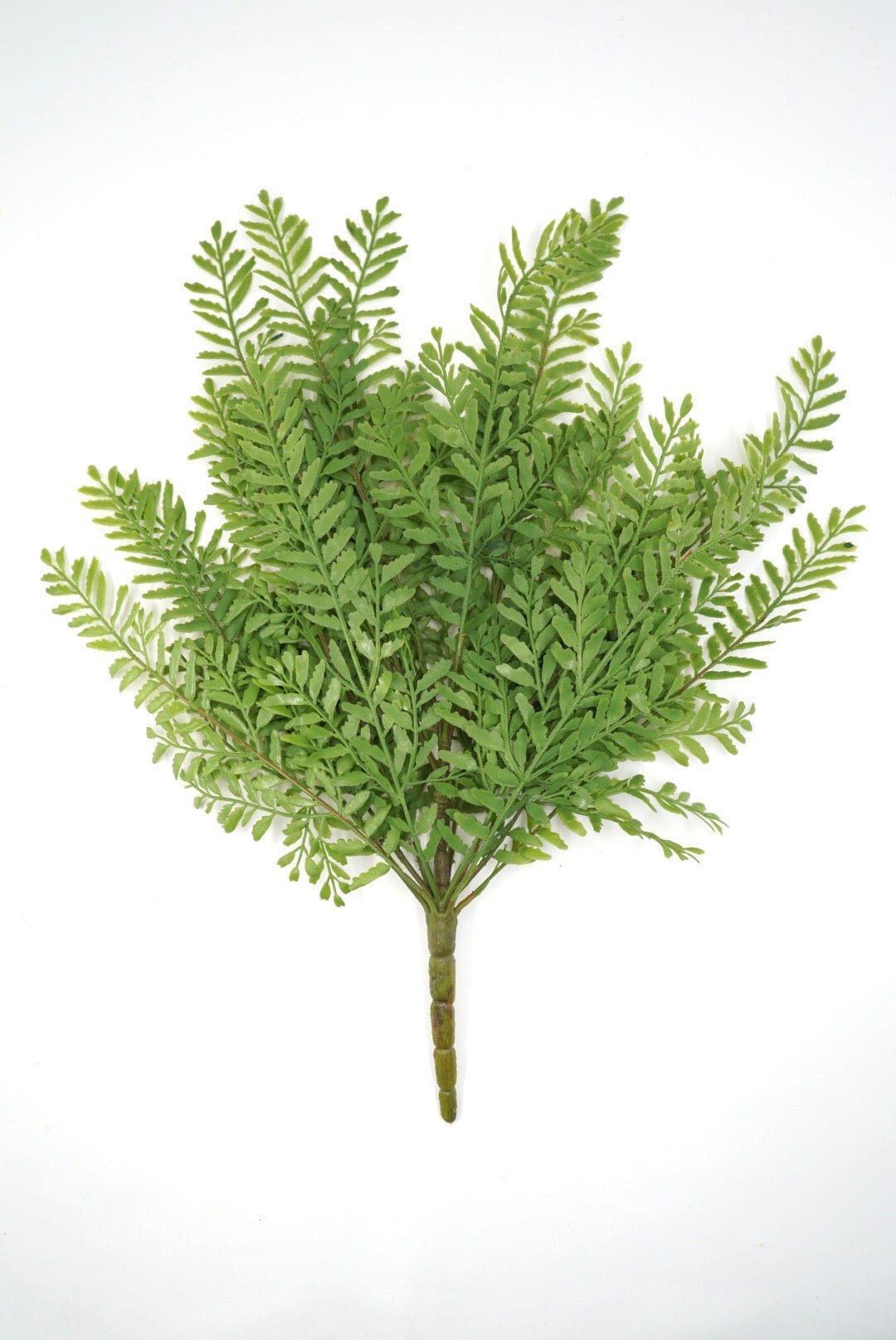Persian Leaves Bush - Soft Touch - Greenery Market28307